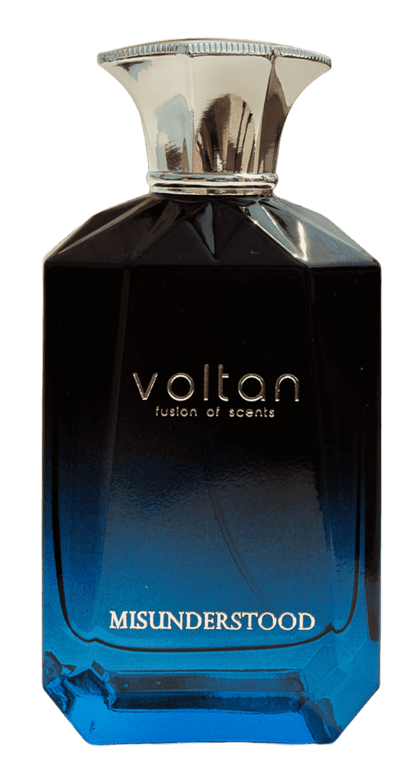 Misunderstood Voltan Perfume Fragrance